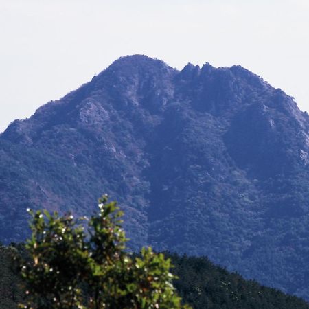 Pataya Motel Geoje Zewnętrze zdjęcie