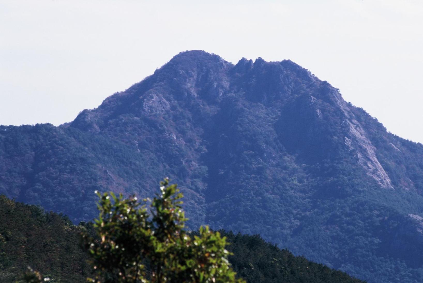 Pataya Motel Geoje Zewnętrze zdjęcie