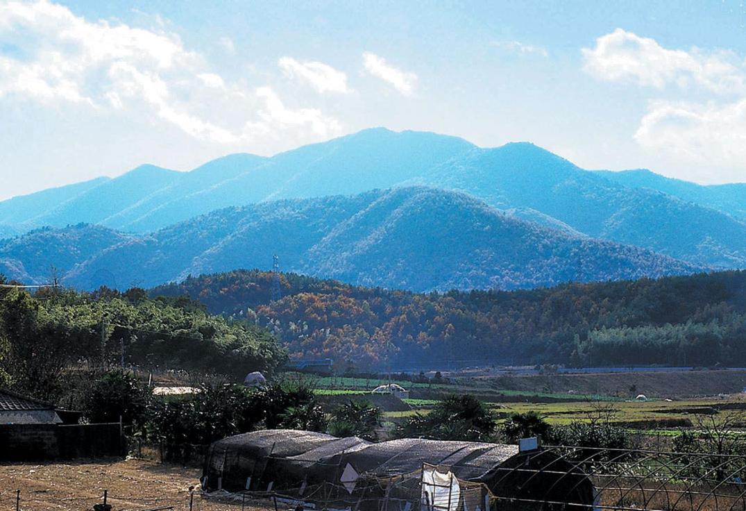 Pataya Motel Geoje Zewnętrze zdjęcie